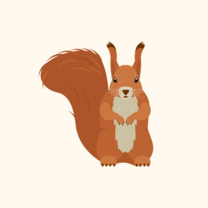 Labkurs og feltarbeid - Biologi 2